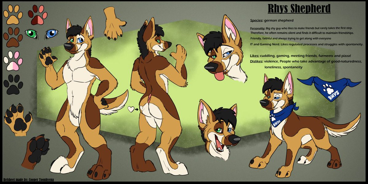 Rhys Shepherd tweet media