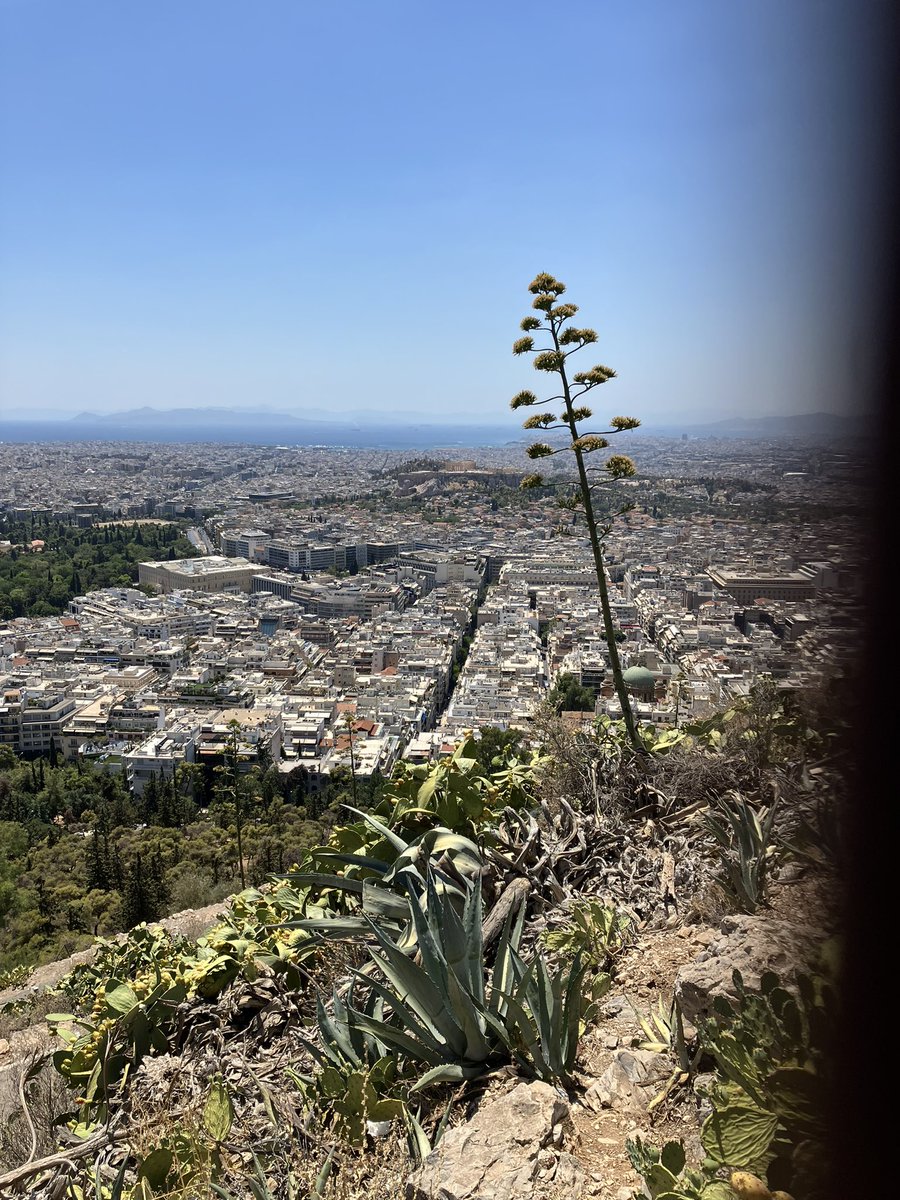 Kalo mina (happy first of the month) from Athens.