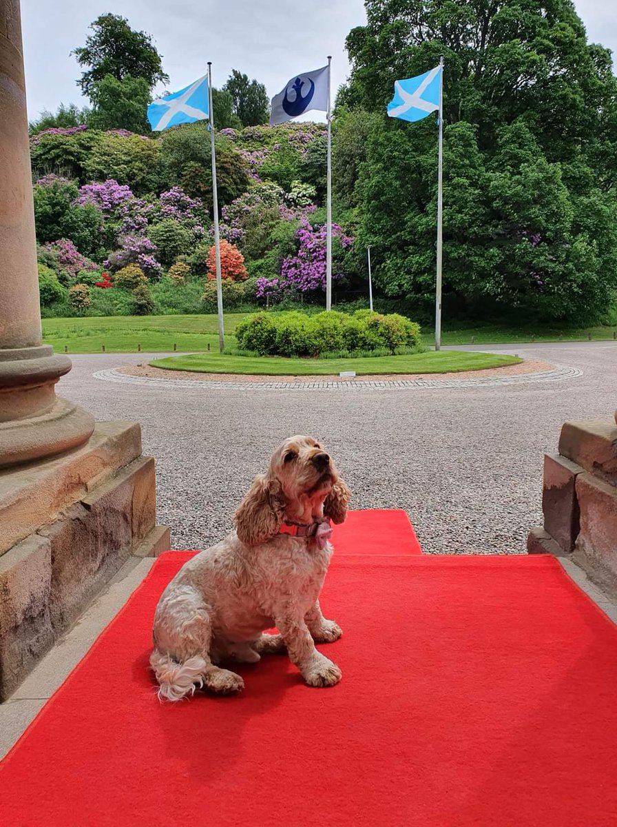 Waiting for guests to arrive 🐾