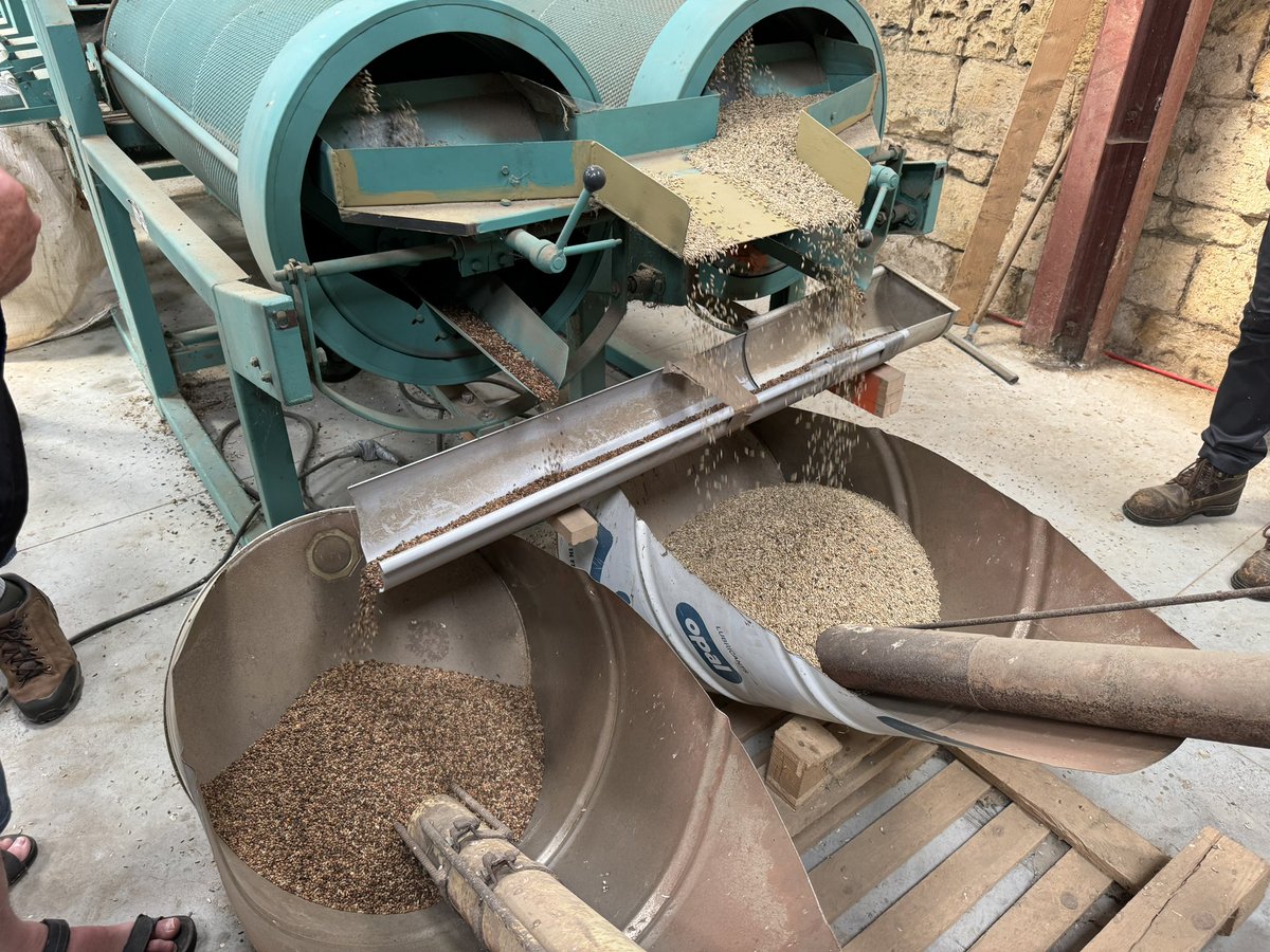 Doctor_650's tweet photo. Visitored a small organic farm in Wacquemoulin France. 5 years of gov support to go Organic, now withdrawn.
With a low price these guys are finding it hard to make a💲
Mix cereals with lentils. Slugs had a field day. Small shop selling their own products #thisisnottheanswer https://t.co/XztiBXhjNs