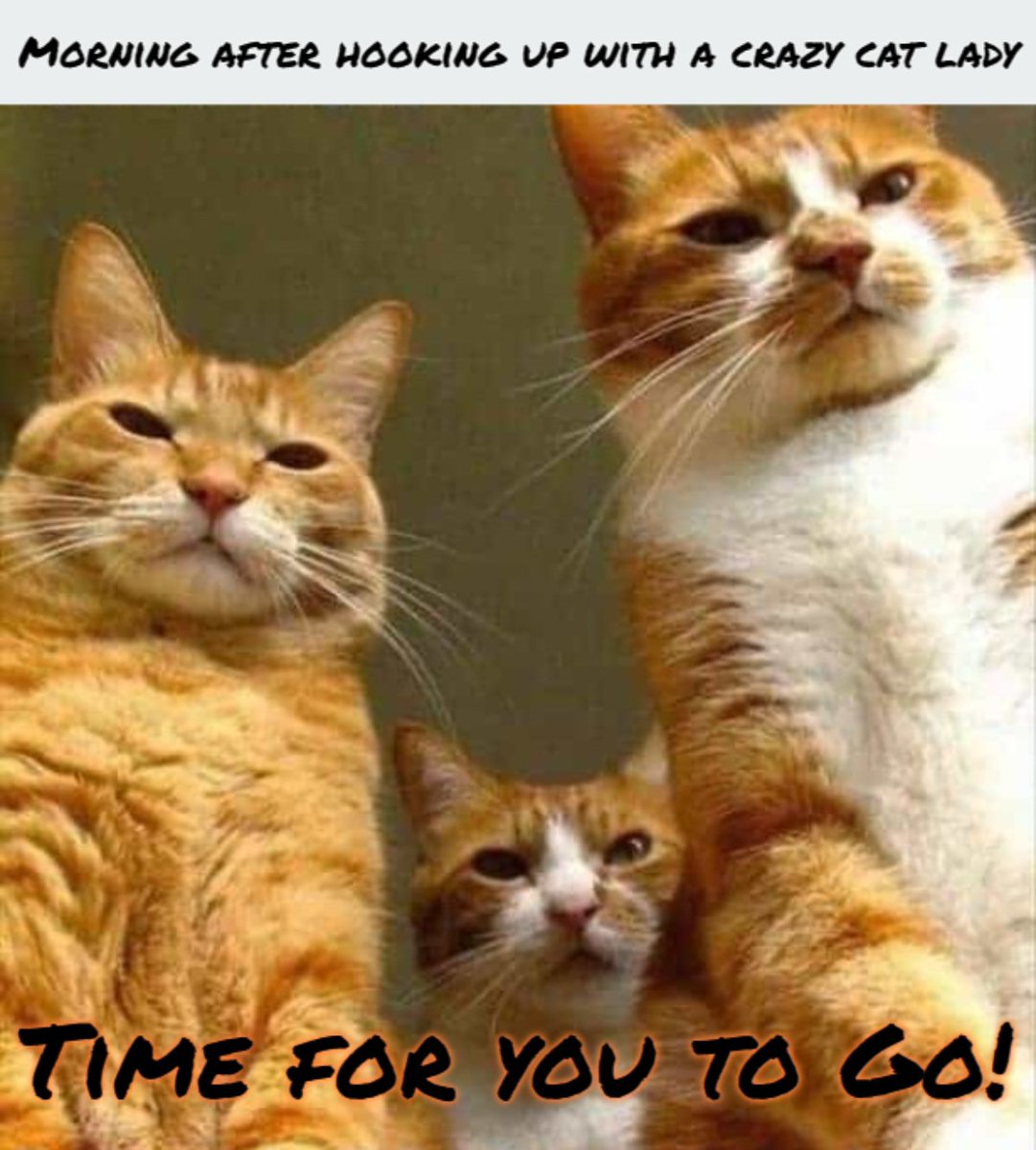 _mwtx_'s tweet photo. Message received loud and clear!!
#Meowtrix #memecoin $SOL $MWTX https://t.co/6d1pFpZgoo