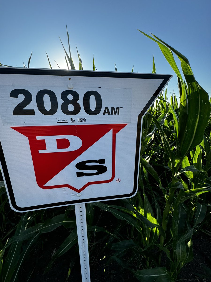 Lonetree Seed Products (@lonetreeseed) on Twitter photo 