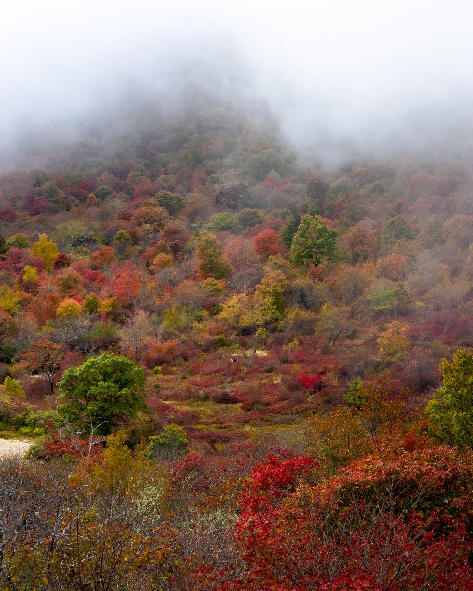 Happy August! We're officially in late summer, and views like this will start appearing in the Lower 48 next month 🍁