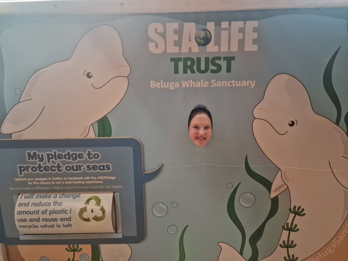 #SLTPledge My Ruby learning plenty at #sealifeweymouth to help the environment 😍