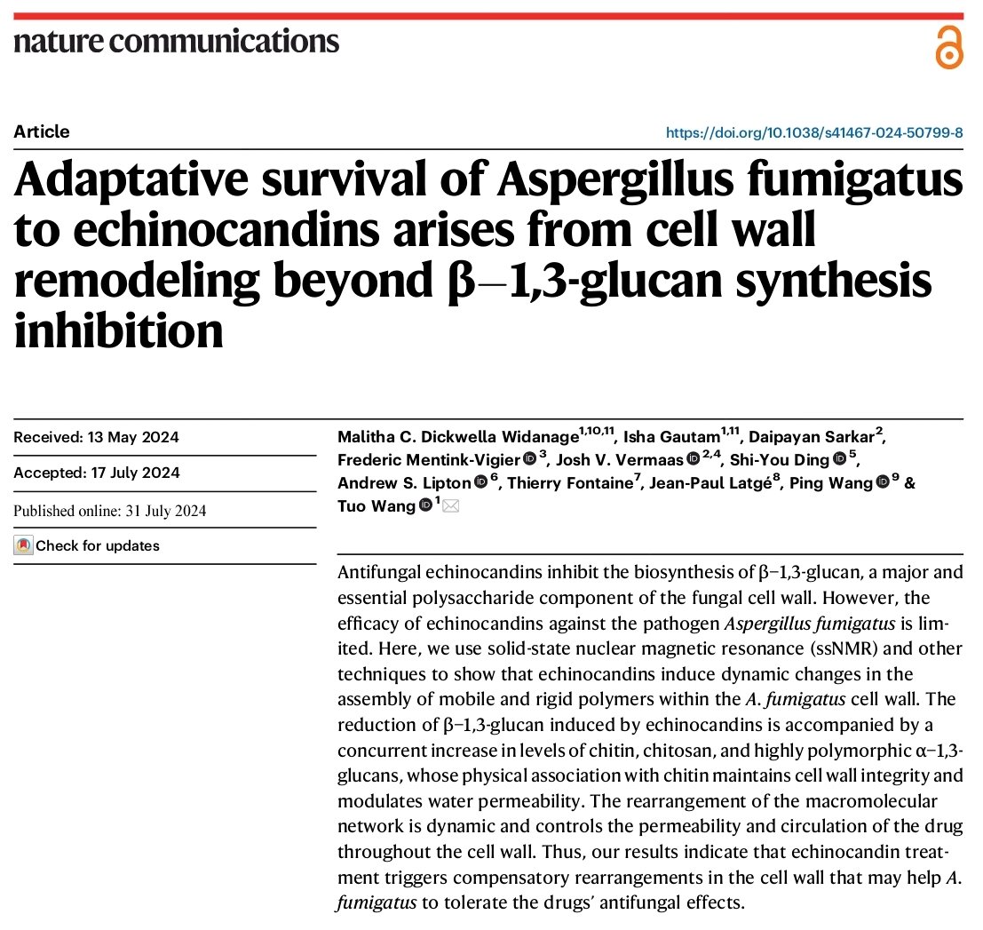 Fungal Respiratory Infections Lab-Angers tweet media