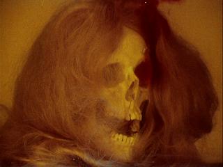 NotASexyVampire's tweet photo. 5 favourite first watches of July 2024
1. THE DAY I BECAME A WOMAN
2. DEATH BED: THE BED THAT EATS
3. BILLY BUNNY'S ANIMAL SONGS
4. HUNDREDS OF BEAVERS
5. FRIDAY FOSTER https://t.co/psNzZsXcSe