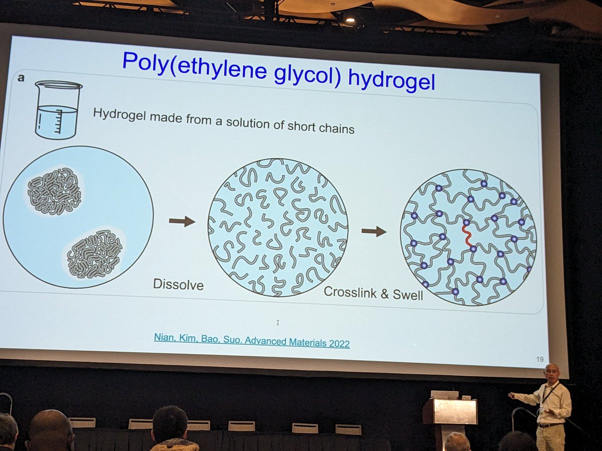 Enjoying the talk of Prof. <a href="/zhigangsuo/">Zhigang Suo</a> at #ISMC2024.
