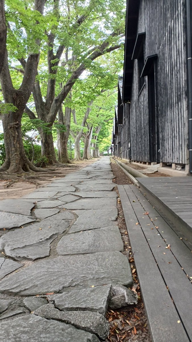 obacochan's tweet photo. 南東北梅雨明けしたらしいです。昨日と今日の山居倉庫の違いは、木漏れ日を反転画像ではありませぬ。 https://t.co/NTJ31w9JZj