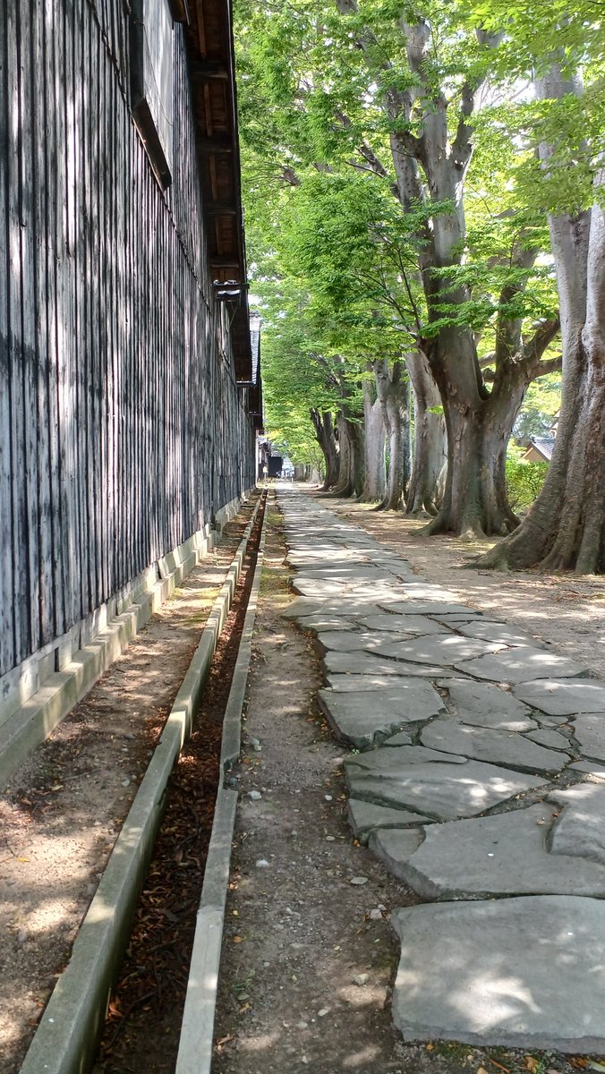 obacochan's tweet photo. 南東北梅雨明けしたらしいです。昨日と今日の山居倉庫の違いは、木漏れ日を反転画像ではありませぬ。 https://t.co/NTJ31w9JZj