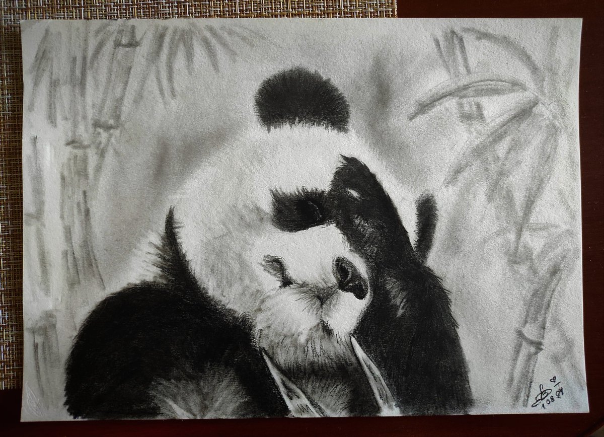 DEVi_doc_art's tweet image. Буквально мой портрет при виде всех последних событий и при отсутствии выходных вторую неделю🙈😂
#Elen_D_art #panda #PandaDesign #China