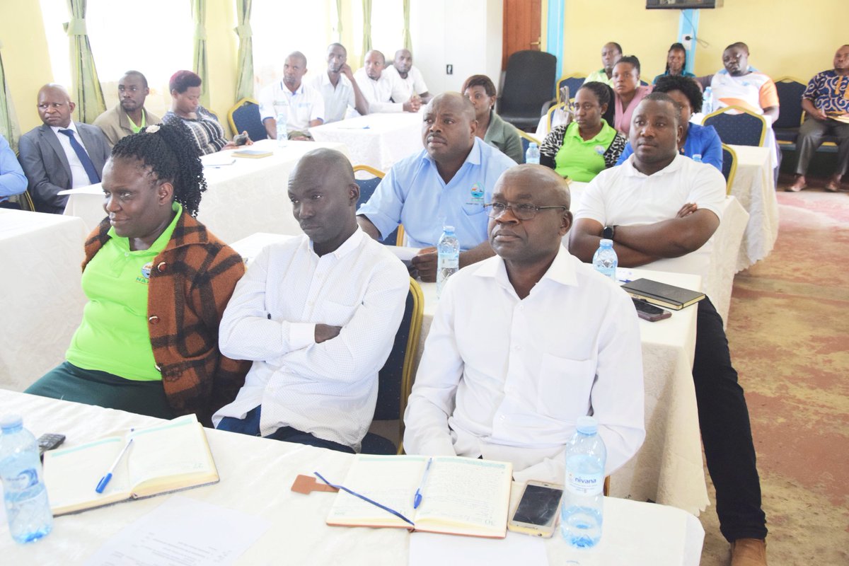 RWEBITABA ZARDI tweet media