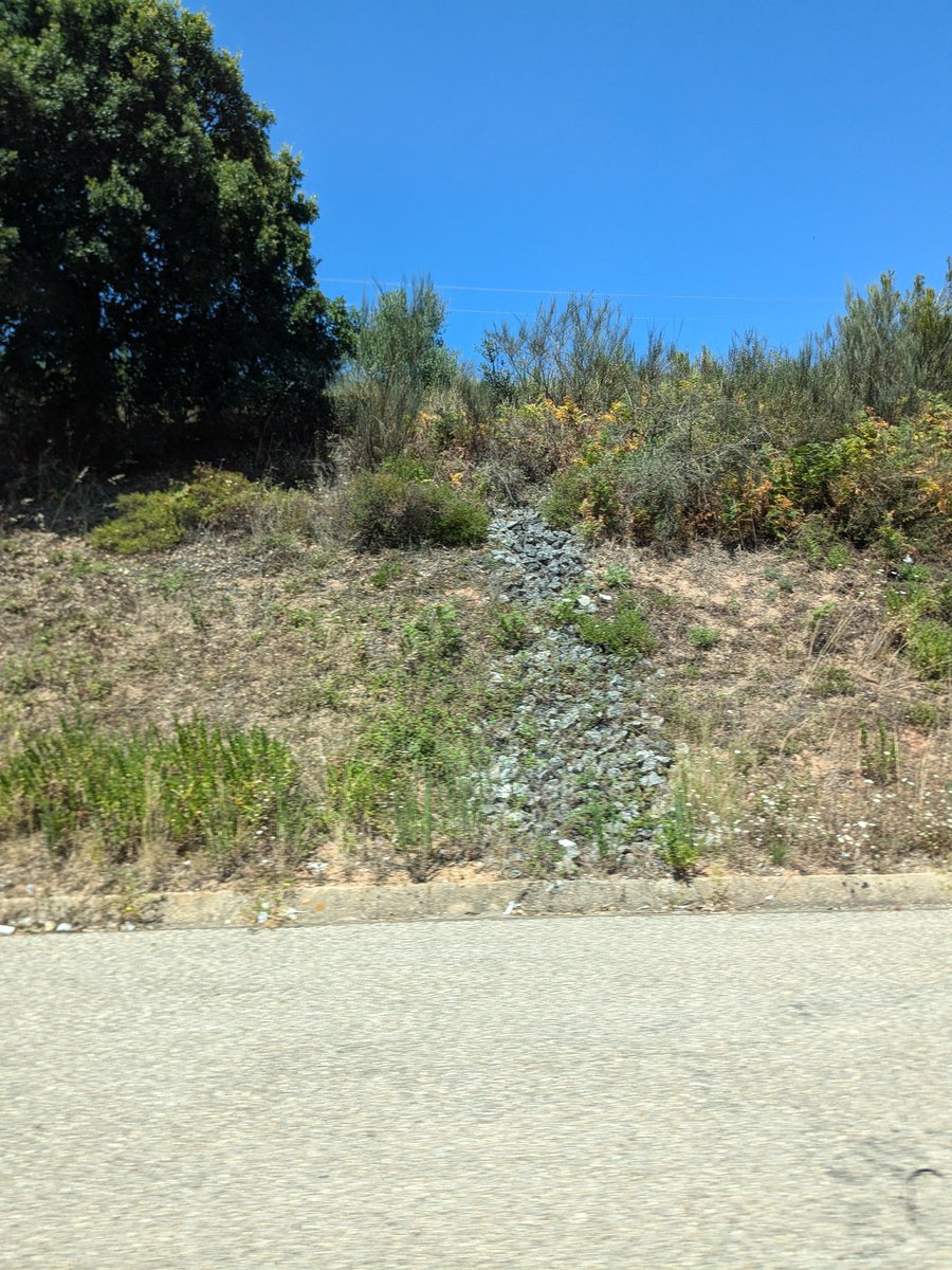 Este Burcian tweet media