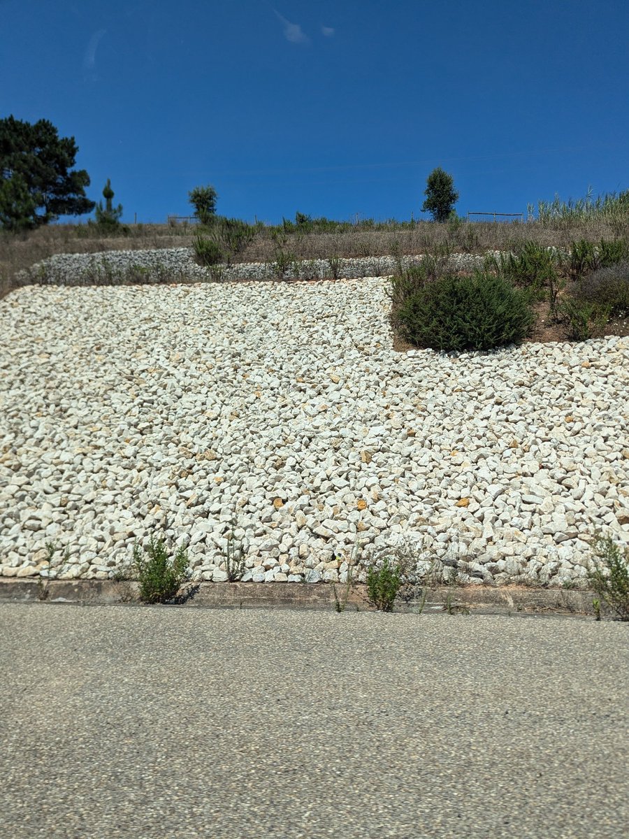 Este Burcian tweet media