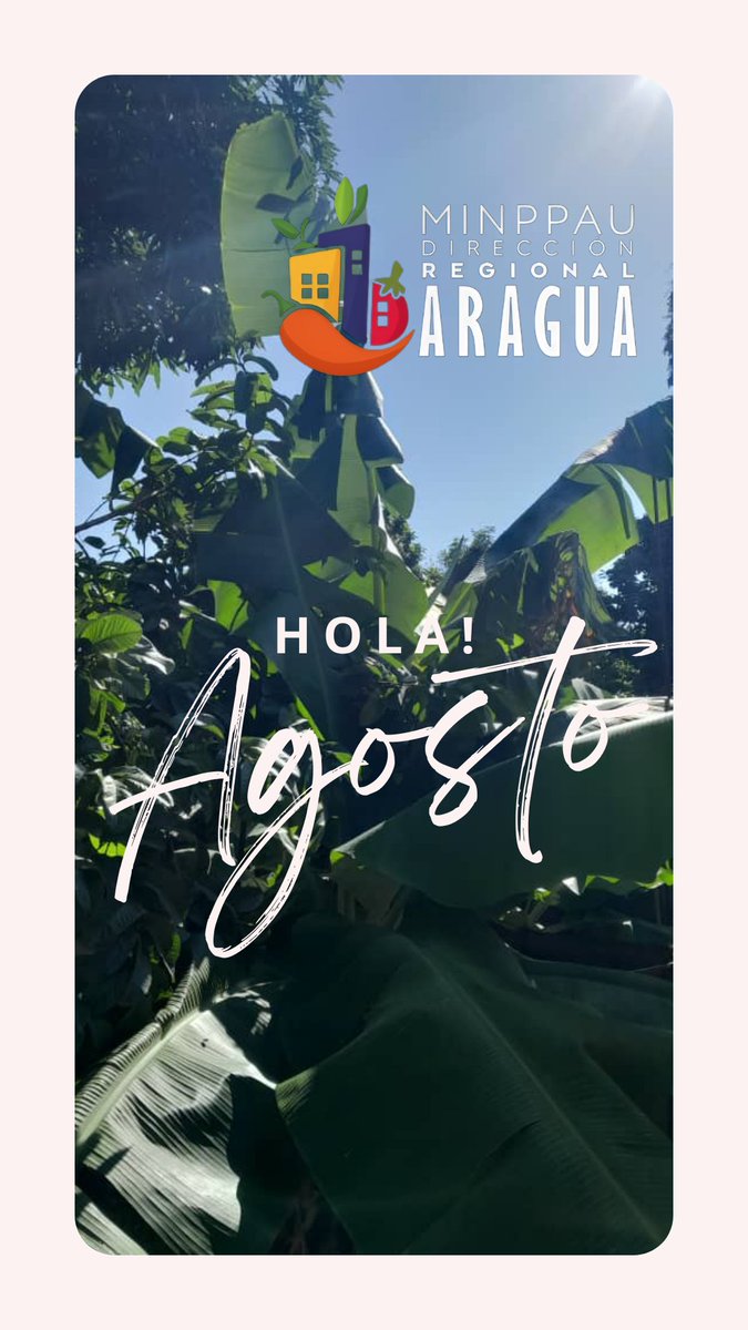 AraguaMinppau's tweet photo. 🌟🌞 ¡El MINPPAU Estadal Aragua le da la bienvenida a agosto! 🌞🌟 Deseamos un mes venturoso, lleno de paz, armonía, abundancia y felicidad para todos. ¡Sigamos construyendo juntos un futuro brillante! 🇻🇪✨  #PazYArmonía @MinagrourbanaV @jhoagaby @Corpoagrourbana @ciara_minppau https://t.co/UFIqCHPxwE