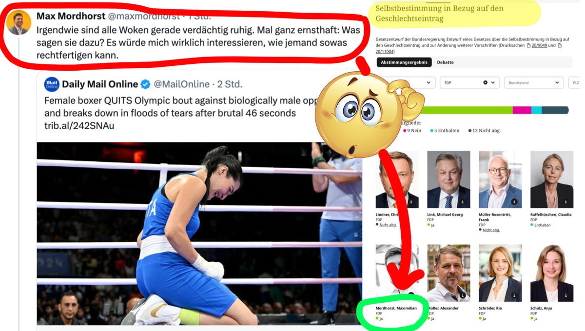 Joana Cotar tweet media