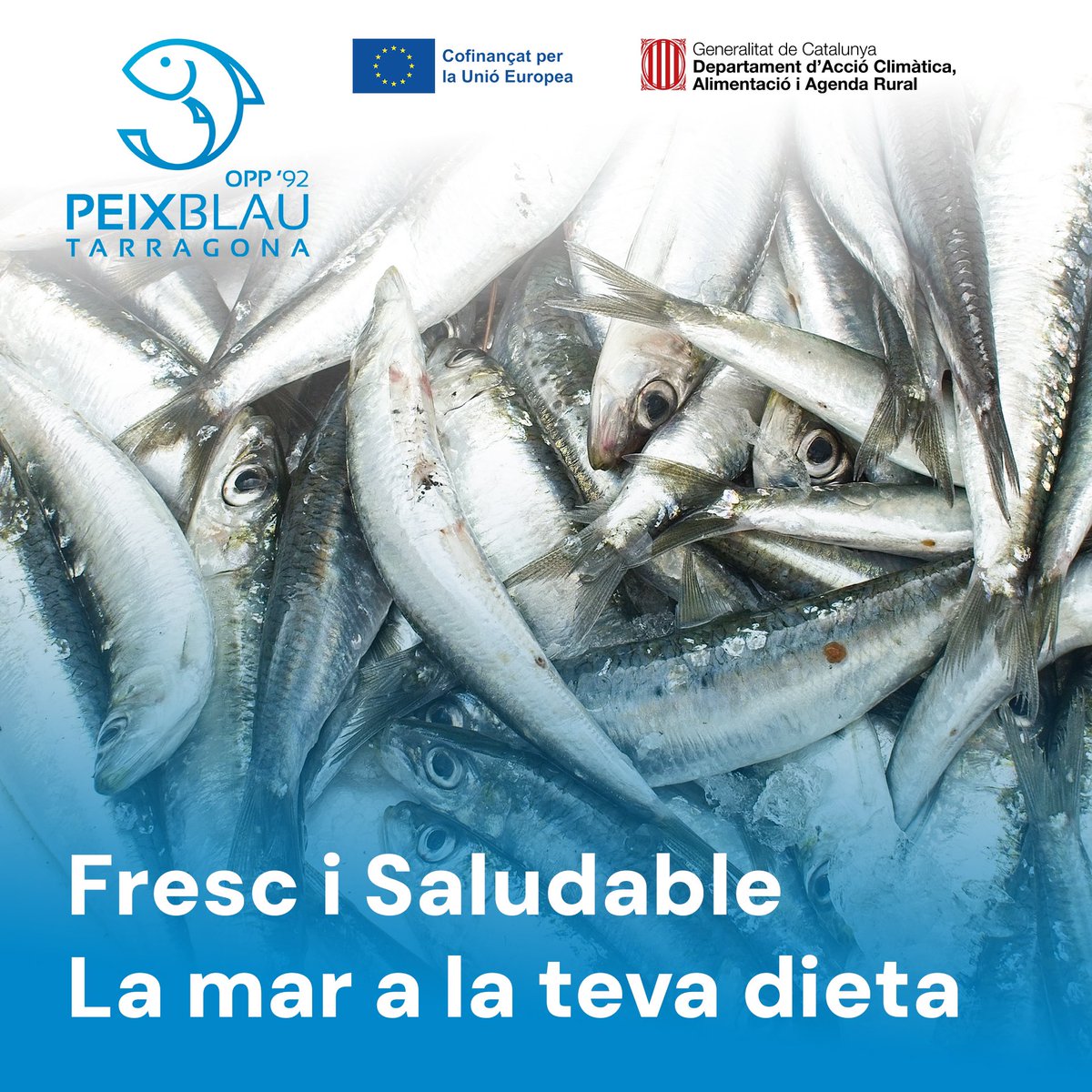 OPP Peix Blau Tarragona (@peixblautgn) on Twitter photo El peix blau és una joia gastronòmica i nutricional que no pot faltar a la teva dieta. Sempre amb la màxima qualitat i frescor, és el producte perfecte per a una alimentació saludable i equilibrada.
 
ℹ️ És una actuació cofinançada amb la UE i la Generalitat de Catalunya. El peix blau és una joia gastronòmica i nutricional que no pot faltar a la teva dieta. Sempre amb la màxima qualitat i frescor, és el producte perfecte per a una alimentació saludable i equilibrada.
 
ℹ️ És una actuació cofinançada amb la UE i la Generalitat de Catalunya.