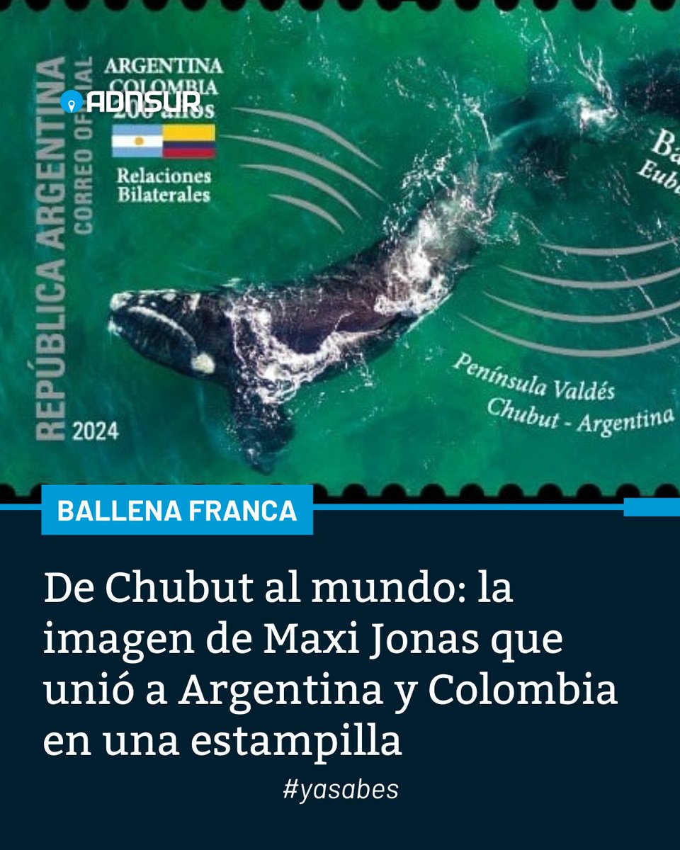 🐋 NUESTRAS BALLENAS EN UN SELLO POSTAL ✨

🤩 Una imagen del reconocido fotógrafo chubutense Maxi Jonas fue seleccionada para formar parte de una estampilla conmemorativa de los 200 años de relaciones bilaterales entre Argentina y Colombia.