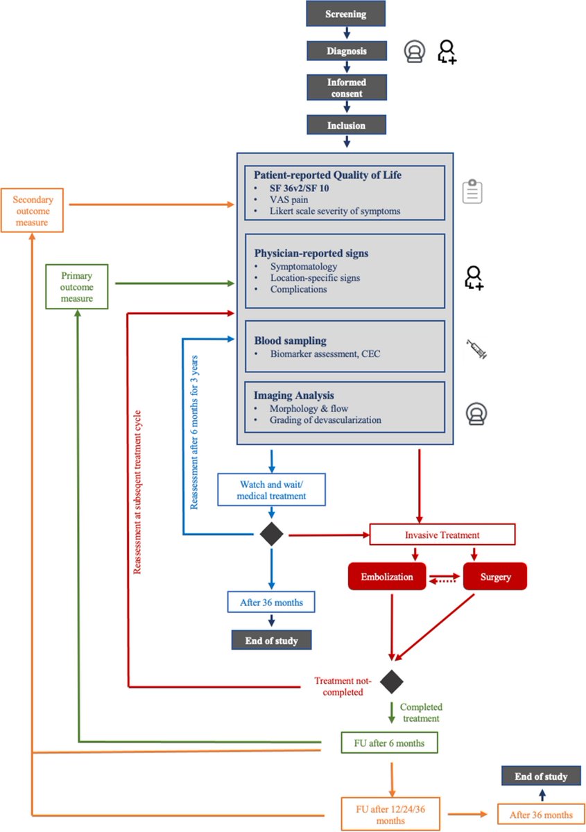 #ThrowbackThursday! Back to 2023 ↩️
Clinical Outcome and Quality of Life of Multimodal Treatment of Extracranial Arteriovenous Malformations: The APOLLON Study Protocol
bit.ly/3Wm02EE 

#OpenAccess 🔓

<a href="/VanessaFSchmidt/">Vanessa F. Schmidt, MD, MHBA, EDiR</a>