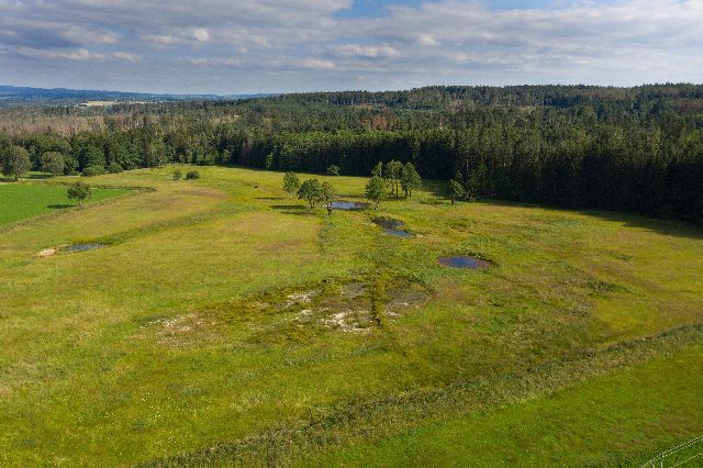 Naše rušení meliorací v rezervaci Maršálka na Vysočině ve finále #AdapterraAwards2024. Zahnízdila bekasina, kulíci, žáby se radují, kvetou orchideje .. Revitalizace pramenišť je určitě levnější a účinnější než stavba poldrů či protipovodňových zdí.
nature.cz/web/chko-zelez…