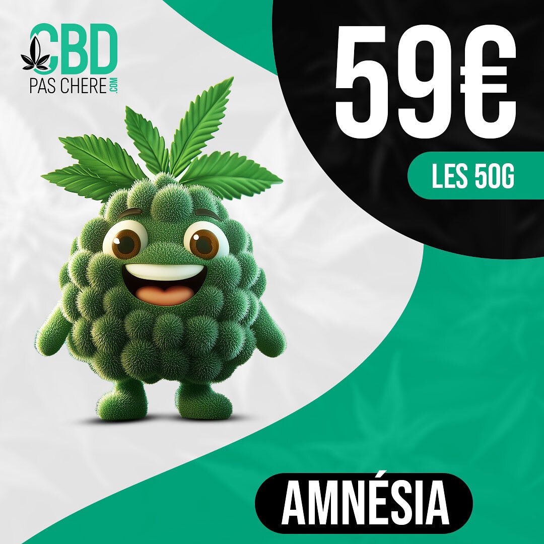 cbdpaschere's tweet photo. 🌿 Yo les amis ! 🌿
Cette semaine, Amnesia est en feu sur https://t.co/lgbxrkOOsq ! C’est le moment de découvrir ses arômes qui déchirent. 🍃💚 Viens kiffer l’expérience !
➡️ https://t.co/fnce9XULvU
#CBD #bienetre #Amnesia #Relax #cbdpaschere #naturel https://t.co/iGdU3OASlZ