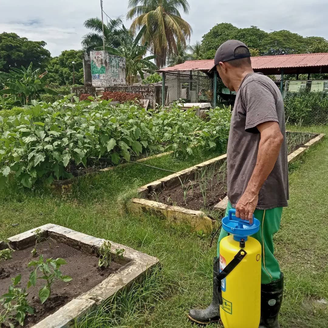 🌱 ¡Juntos por una agricultura sostenible!

Como parte de las actividades en el CPA "4F", del edo. Apure, técnicos del <a href="/apure_minppau/">VICEAGROURBANA_APURE OFICIAL</a> llevaron a cabo un exitoso control de plagas libre de agrotóxicos.

<a href="/NicolasMaduro/">Nicolás Maduro</a> 

#PuebloDeJusticia