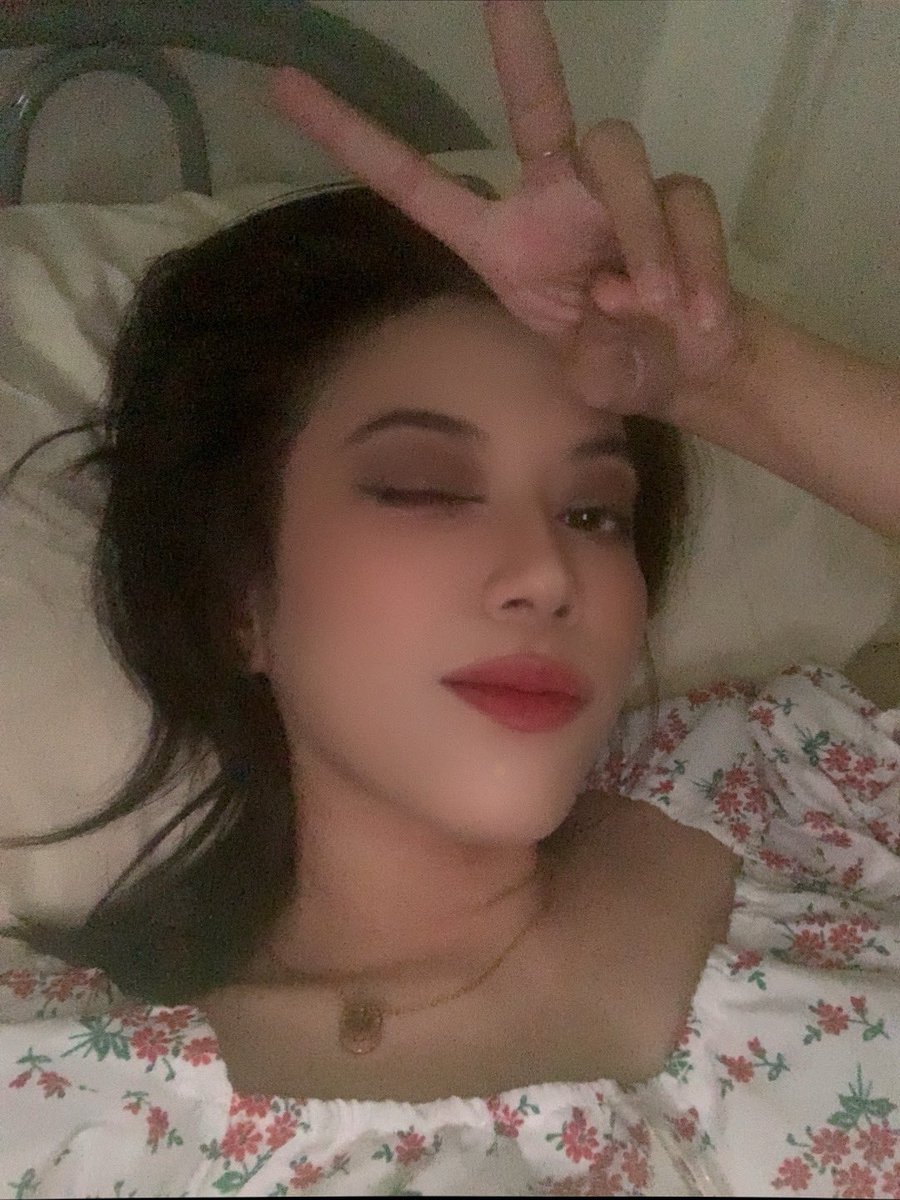 Chihuahua tweet media