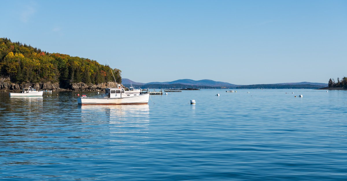 Essential for safe and efficient maritime operations, mooring buoys:  
➡️ Protect sensitive marine habitats (coral reefs and seagrass beds)
➡️ Mark zones for public access (fishing, snorkeling, and scuba diving)

Choose Sealite mooring buoys: bit.ly/3HD5EDi