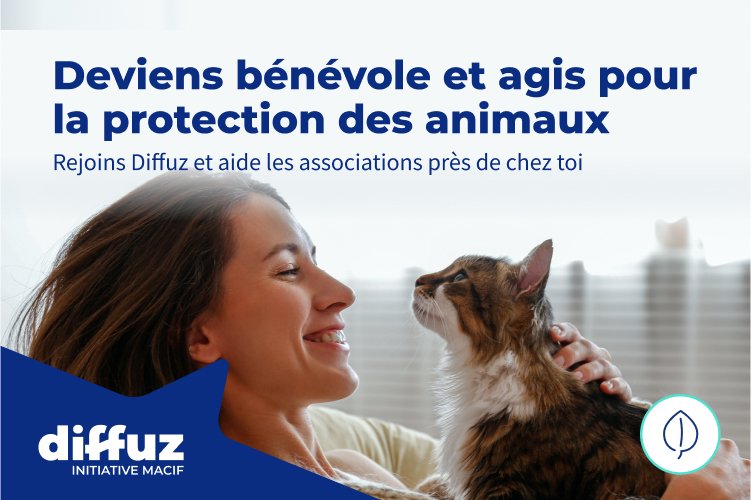 🐱🐶💪Cet été les #associations de protection animale sont mobilisées sur Diffuz.com !
Mais comment les aider ?
Retrouvez notre article sur les bénévoles et les associations sur @CarenewsCom 

👉tinyurl.com/3pukvjmb