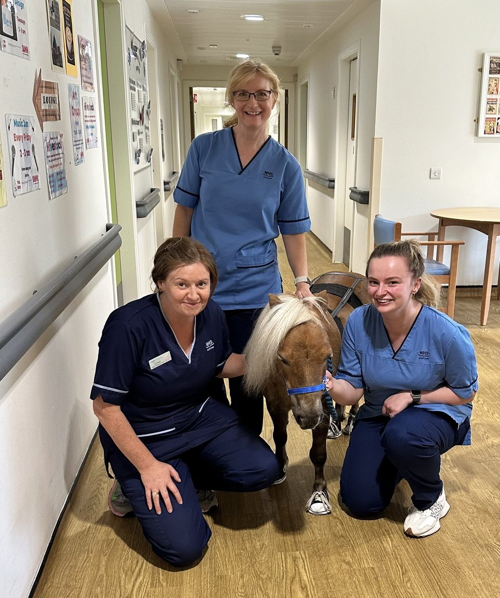 EdinOlderMH's tweet photo. Lovely visit to #OlderPeoplesMentalHealth wards in #RoyalEdinburghHospital by Wilson and Flicker from #TherapyPoniesScotland. Their presence had an amazing effect on patients, visitors and staff ❤️🐴❤️. #Goodtimes @NHS_Lothian @REAS_NHSLothian https://t.co/jcWNZPQn0n