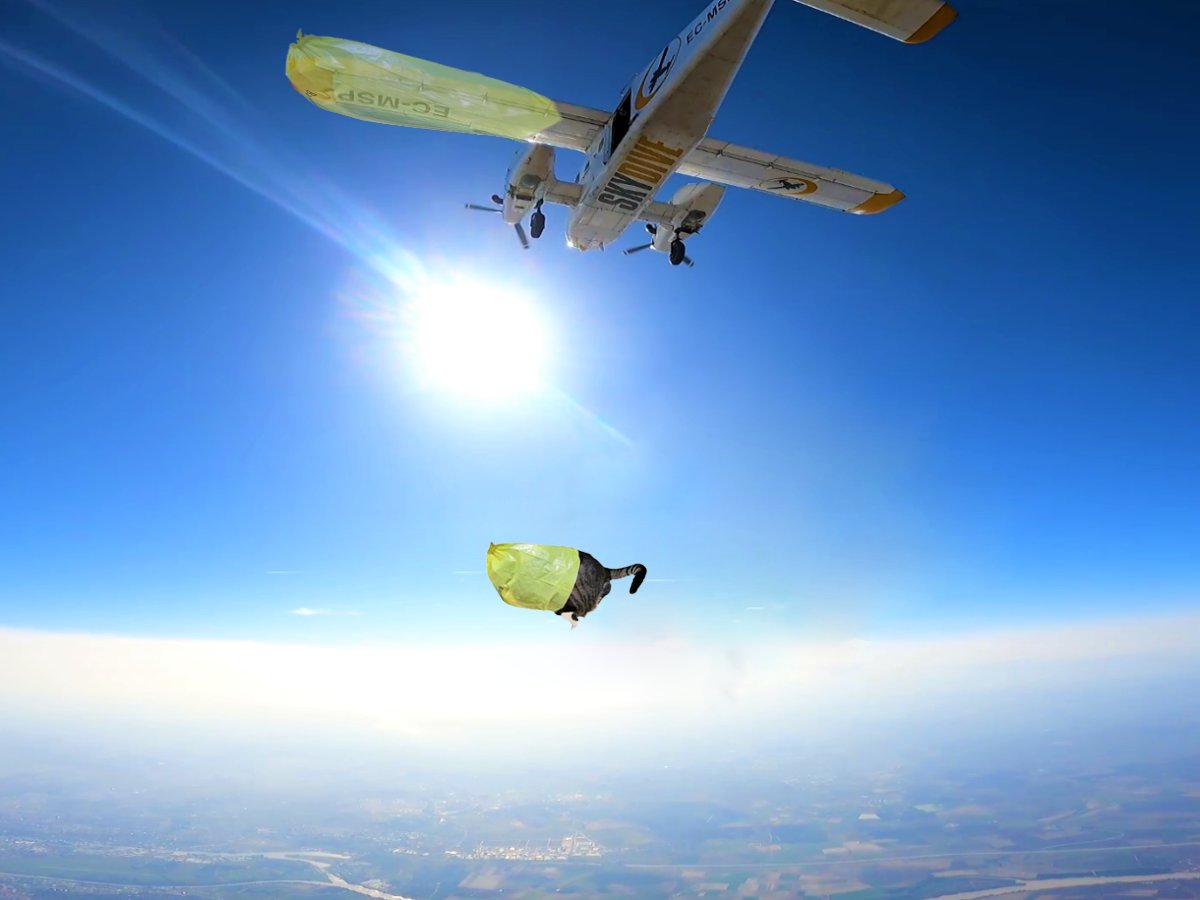 wifbag's tweet photo. Bag the world

$BAG https://t.co/NT1eWxs53v