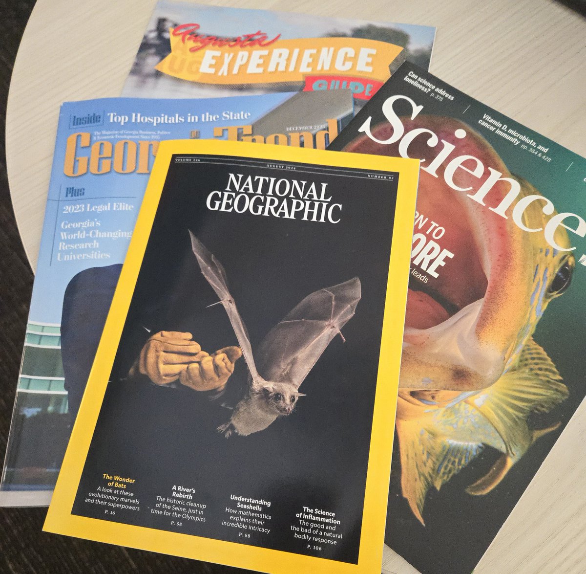 Immunology Center of Georgia at Augusta University tweet media