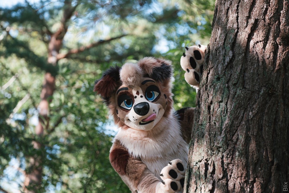 The life of a shepherd dog is hard. I’m tired after a long day at work.

🧵<a href="/AlphaDogsStudio/">Alpha Dogs</a>
📷<a href="/SDoggo97/">Lenny the Shepdoggo🐾➡️EF29</a>

#fursuit #furry #FursuitEverday