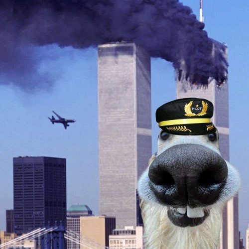 goofcto's tweet photo. @pumpdotfun @idrawline @idrawline is such a $GOOF https://t.co/VYa8aytkyu