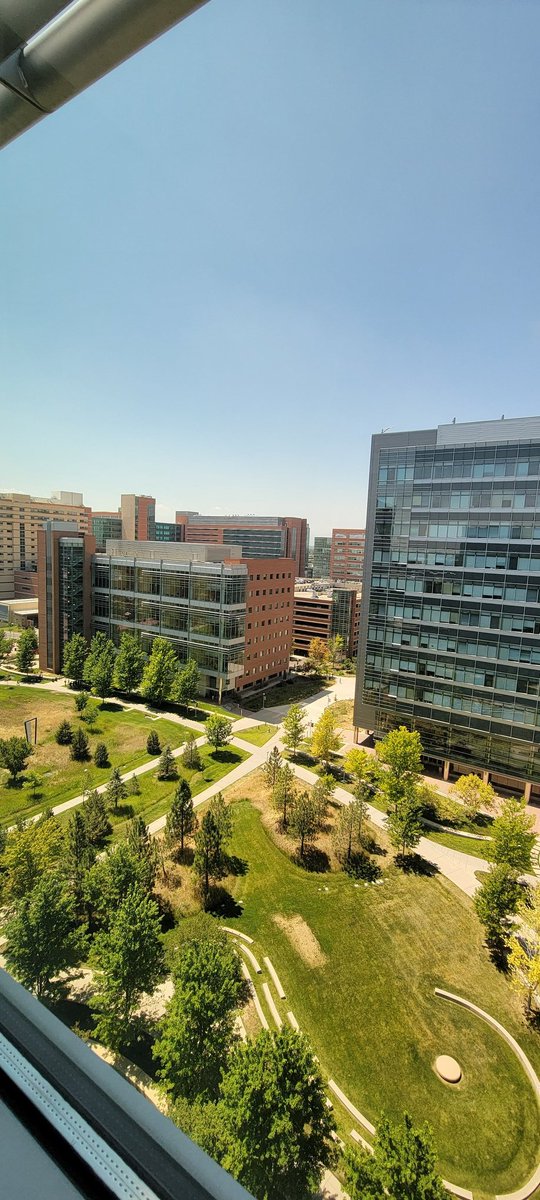 Honestly with a view like this, I could totally just hang out in my office.