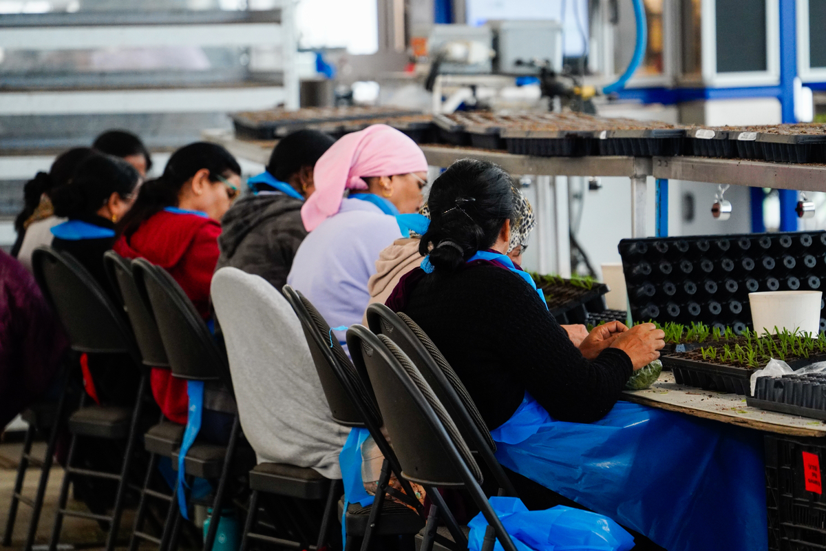 Qualitree tweet media