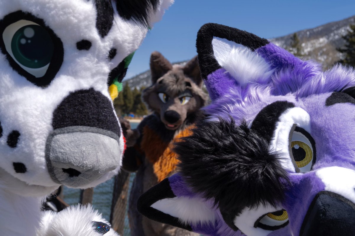 ✨gray✨🔜 LVFC, FCL? (@gray_awoo) on Twitter photo pov: three canines are about to throw you in the lake
📸 <a href="/WardDawggy/">Ward ➡️ FC</a>
🪡 <a href="/TwinkyArts/">Twinky Arts✨</a> // <a href="/Monstercatsuits/">MonsterCat Creations</a> pov: three canines are about to throw you in the lake
📸 <a href="/WardDawggy/">Ward ➡️ FC</a>
🪡 <a href="/TwinkyArts/">Twinky Arts✨</a> // <a href="/Monstercatsuits/">MonsterCat Creations</a>