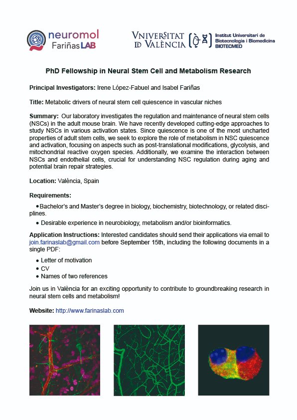 🚨 Exciting Opportunity Alert! 🚨

The Fariñas Lab is hiring! We’re on the lookout for passionate, motivated candidates to join our team with a 4-year fully funded PhD contract (FPI). If you’re interested in neural stem cells and neural metabolism, we want to hear from you!
