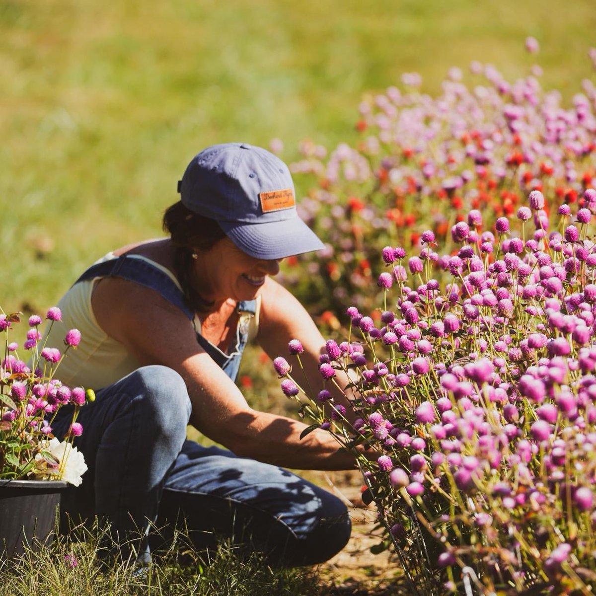 Meet Pamela and her Taylor County farm, Beehind Thyme Farm &amp; Garden!

Follow on Facebook and Instagram (@beehindthymefarmgarden). You can also check out their website beehindthymefarmgarden.com.

#KYGrownCutFlowers #KYGrownCutFlowerMonth #KYFlowerFarmer #LocalFlowers #farmerflorist