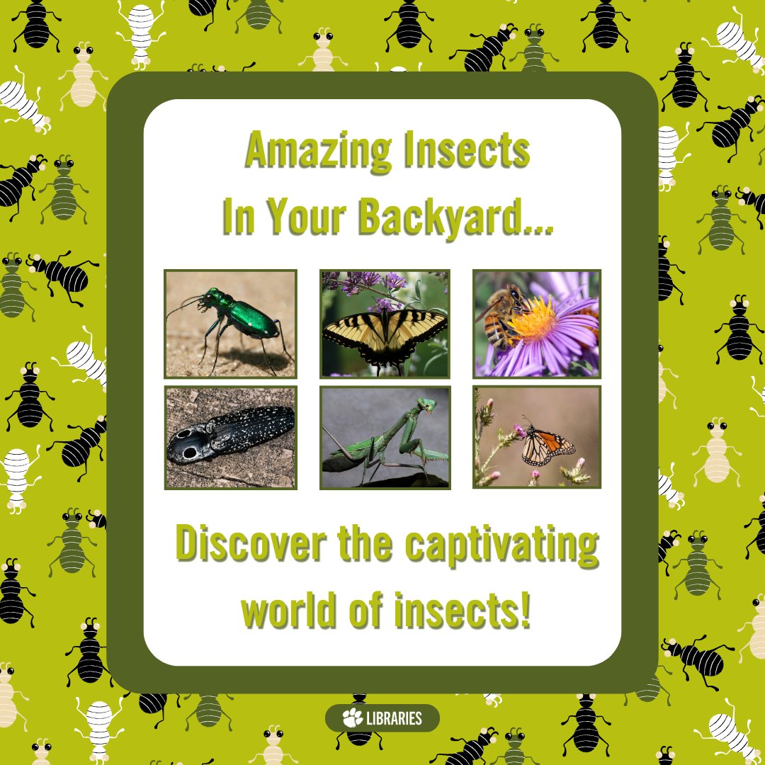 This month, you can explore how insects shape ecosystems, pollinate plants, and inspire awe with their intricate behaviors. Come learn about these unsung heroes now at Cooper Library and unlock the secrets of the miniature world buzzing right under our noses!