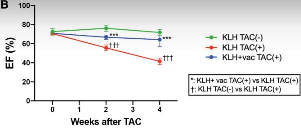 CircAHA's tweet photo. #ICYMI #OriginalResearch Igfbp7 plays a central role in the pathogenesis of #HF, with vaccine therapy targeting the inflammatory cytokine being a possible therapeutic target  https://t.co/d2hh7rf4UD #AHAJournals @ZhehaoDAI_Cards https://t.co/QPb7CoK9aH