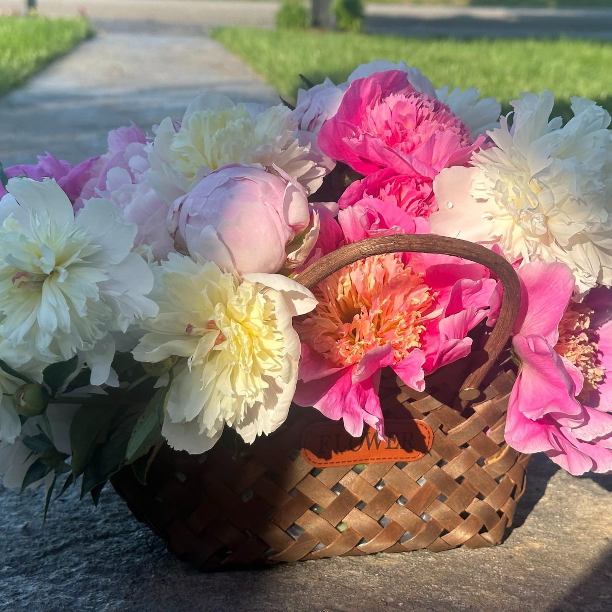 Say hello to Bloomin on the Mill in Warren County!

You can follow Bloomin on the Mill on Instagram at @bloomin_on_the_mill.

#KYGrownCutFlowers #KYGrownCutFlowerMonth #KYFlowerFarmer #LocalFlowers #farmerflorist