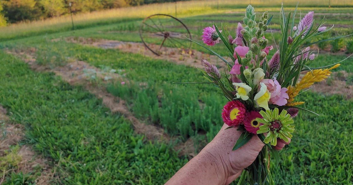 Welcome Campbell County farm, Homegrown on Haubner Hill.

Keep up with Homegrown on Haubner Hill on Facebook, Instagram (<a href="/homegrown/">homegrown</a>.on.haubner.hill), and their website: homegrownonhaubnerhill.com

#KYGrownCutFlowers #KYGrownCutFlowerMonth #KYFlowerFarmer #LocalFlowers #farmerflorist