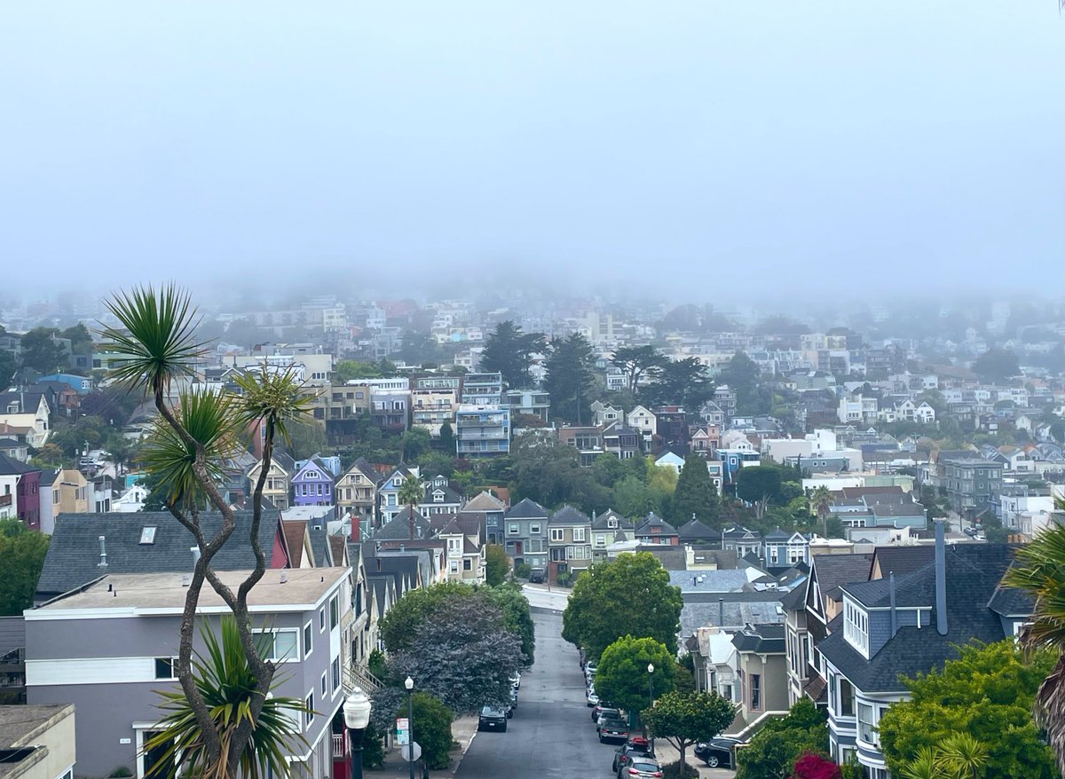 Happy Fogust to all who celebrate