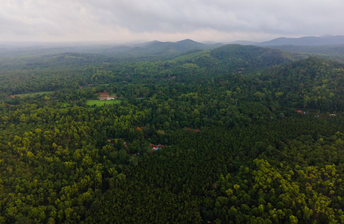 guru3ti's tweet photo. Sirsi topper till July end - 

Where #Shalmala starts her journey 🤩

Shivalli - 3298.5mm

Jun - 704mm
Jul - 2594.5mm 

Top  4 - 
2. Vanalli 2706.5mm
3. Salkani 2669mm 
4. Neggu 2636mm

#Sirsi https://t.co/0rH2plG5lT