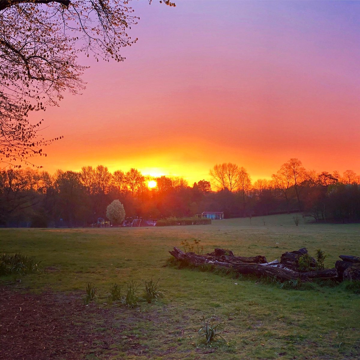 Exciting news! The Friends of Cotteridge Park volunteers received a special mention in MP <a href="/AlistairCarns/">Al Carns</a>' maiden speech in the House of Commons! 💚🌳👏

He praised their dedication and impact on the community. Read more and learn how you can get involved: bosf.org.uk/cotteridge-par…