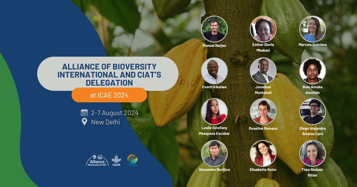 📢 Attending #ICAE2024 this week? Don’t miss the chance to meet our experts and engage with cutting-edge insights! ✨ Join us in advancing the transition to sustainable #foodsystems. Check out our sessions and presentations here 👉
alliancebioversityciat.org/events/icae-20…

<a href="/IAAEAgEcon/">Int. Association of Agricultural Economists</a>