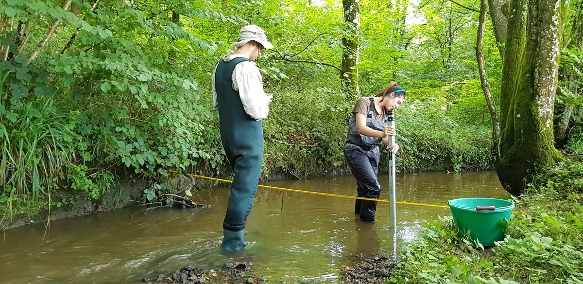 EkoLogIt's tweet image. Setting up microclimate loggers (air &amp;amp; 💧 T°C) in riparian forests in Picardy (Thierache area, Aisne) 🇨🇵 as part of @yuna_legouef&apos;s PhD thesis w/ great help &amp;amp; support from @GandiagaF (#MaCCMiC postdoc @UMR_EDYSAN) &amp;amp; @DainKK, doing a one-year sabbatical @UMR_EDYSAN