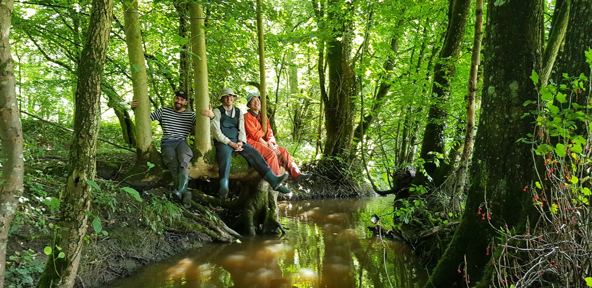 EkoLogIt's tweet image. Setting up microclimate loggers (air &amp;amp; 💧 T°C) in riparian forests in Picardy (Thierache area, Aisne) 🇨🇵 as part of @yuna_legouef&apos;s PhD thesis w/ great help &amp;amp; support from @GandiagaF (#MaCCMiC postdoc @UMR_EDYSAN) &amp;amp; @DainKK, doing a one-year sabbatical @UMR_EDYSAN