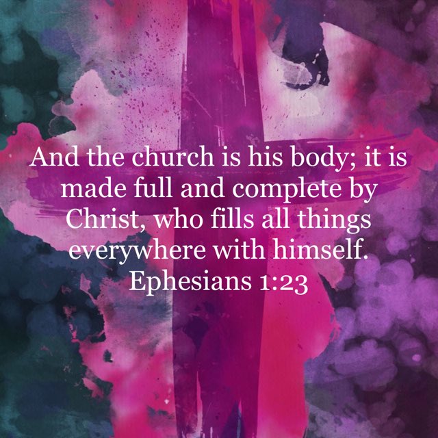 Elizabeth Conrad tweet media