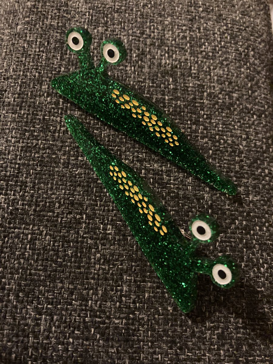 Yes! Lots of great #access talk in the margins, about how we can truly makes the outdoors and <a href="/NatTrailsUK/">NationalTrails.UK</a> accessibly for everyone. That said, the highlight for me was when a couple of women said how much they liked my sparkly slug hair slides 😅#WomenSupportingWomen